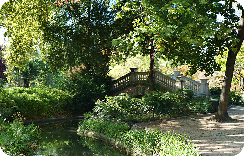 Horizontal trees beside a bridge