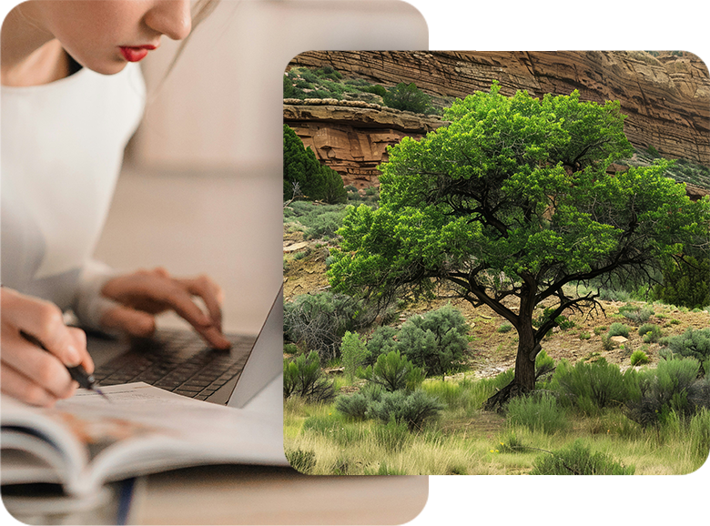 Grant Writing Services double image